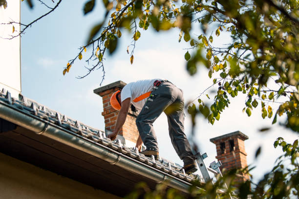 Roof Waterproofing Services in East Rockingham, NC